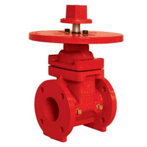 Gate Valve 300 PSI – NRS Flanged End